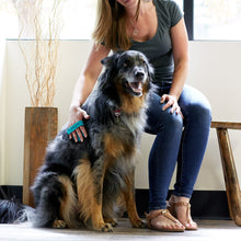 Load image into Gallery viewer, PetWell Massaging Groomer
